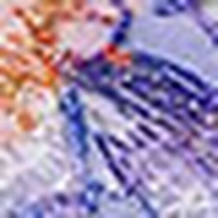 ボーイレングスショーツ, , swatch