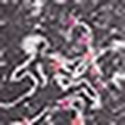 ショーツ, , swatch