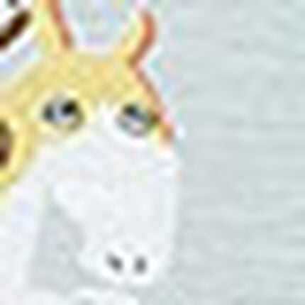 ボーイレングスショーツ, , swatch