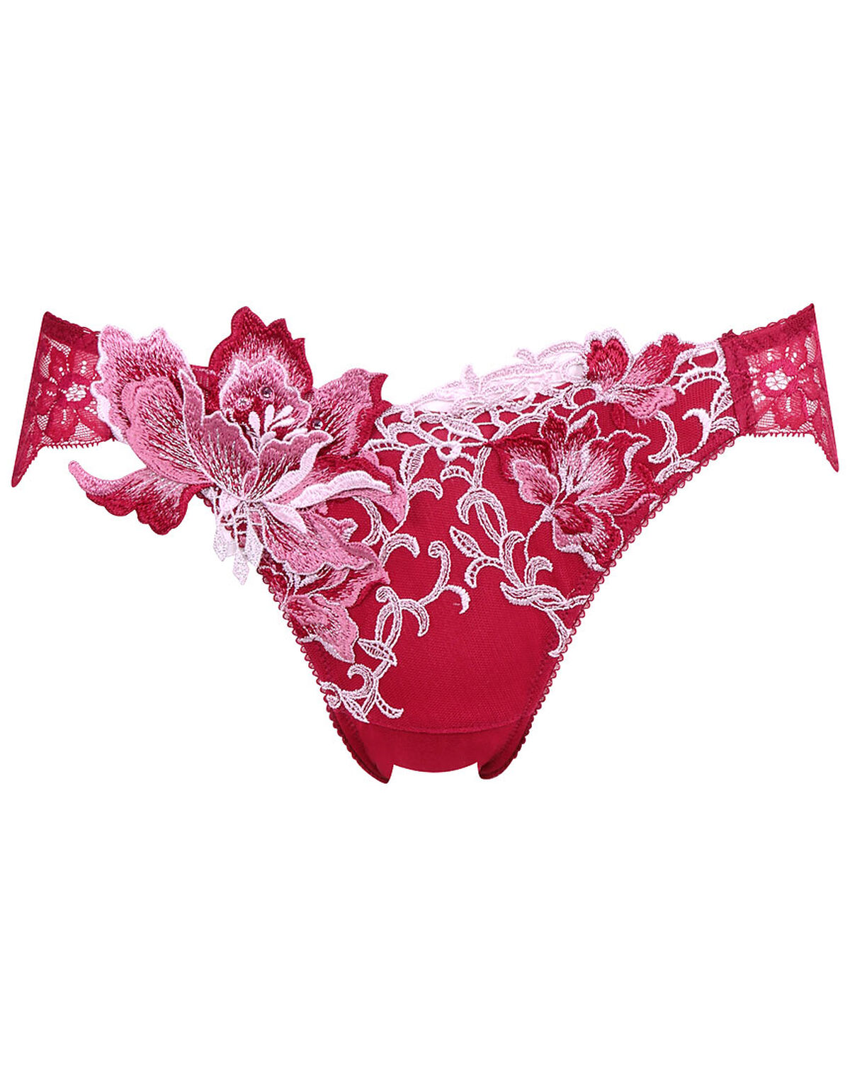 サルート14 【サマルカンド】 F70 Tショーツ YE 惑わさ プレステージ 