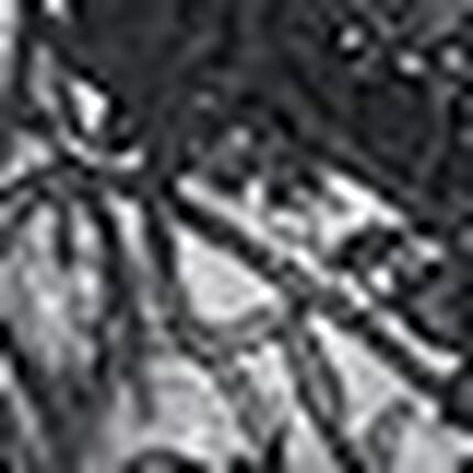 キャミソール, , swatch