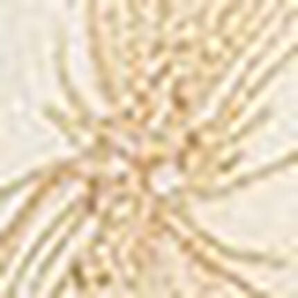 ３／４カップブラ, , swatch