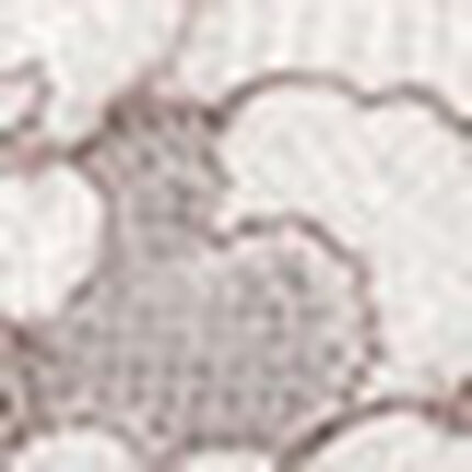 ４／５カップブラ, , swatch