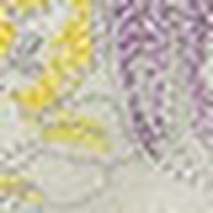 Ｔバックショーツ, , swatch