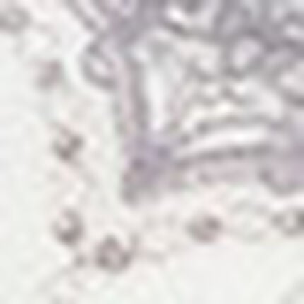 ブラ＆ショーツセット, , swatch