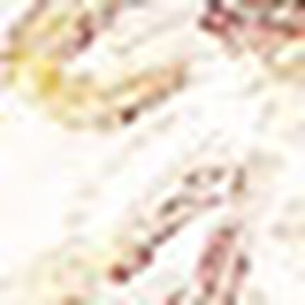 ノンワイヤーブラ, , swatch