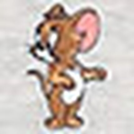 Ｔシャツ, , swatch