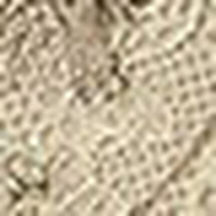 ショーツ, , swatch