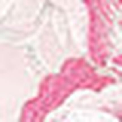 キャミソール, , swatch