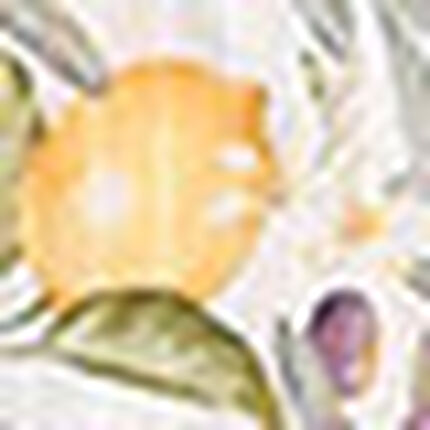 パジャマ, , swatch