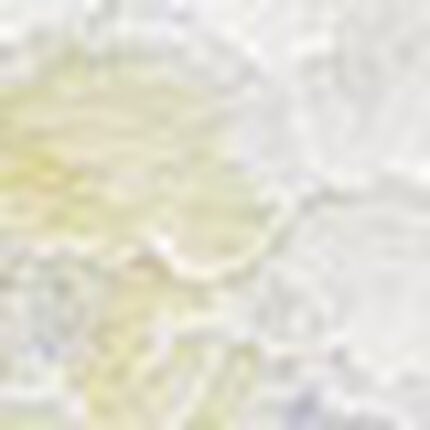 Ｔバックショーツ, , swatch