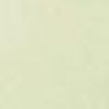 ベアトップ, , swatch