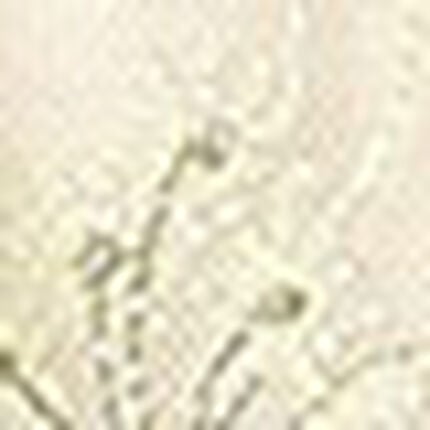 サニタリーショーツ, , swatch