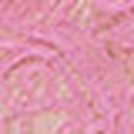 ソング, , swatch