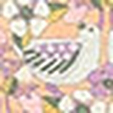 ボーイレングスショーツ, , swatch