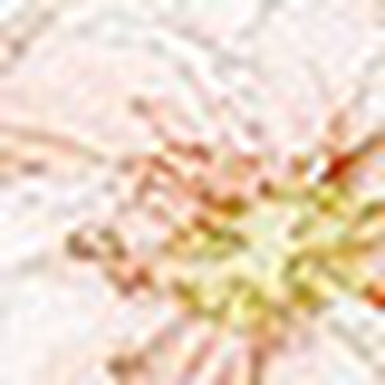 ショーツ, , swatch