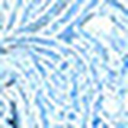 ガーターベルト, , swatch