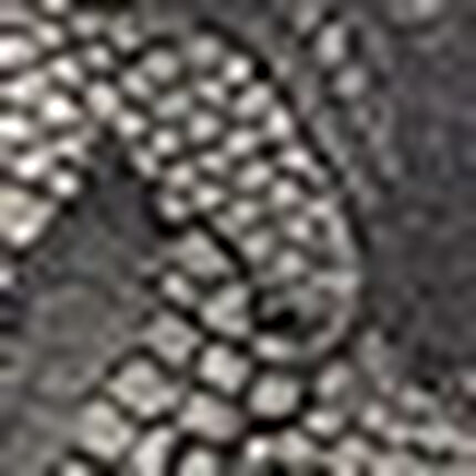 ショーツ, , swatch