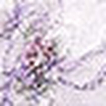 ３／４カップブラ, , swatch