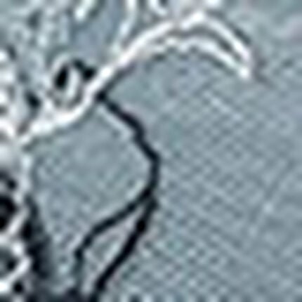 ３／４カップブラ（ノンワイヤーブラ）, , swatch