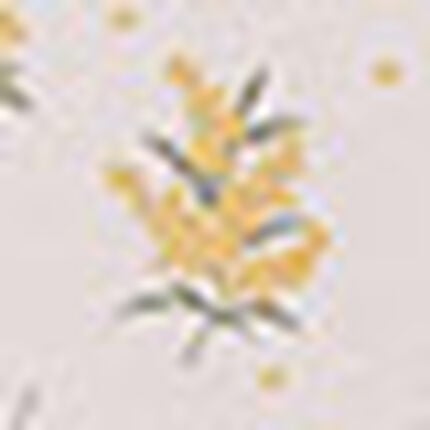 パジャマ, , swatch