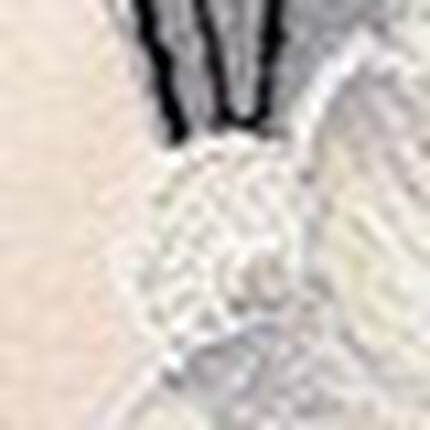 レディスショーツ, , swatch