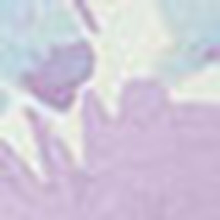 カップ付きプリントタンクトップ, , swatch