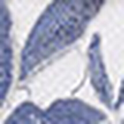 ショーツ, , swatch