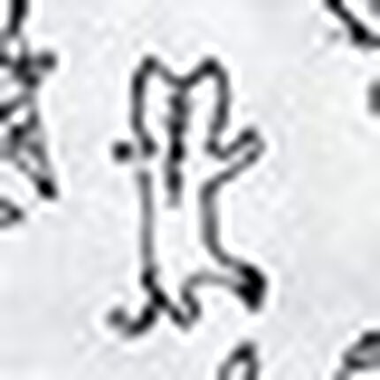 ノンワイヤーブラ, , swatch