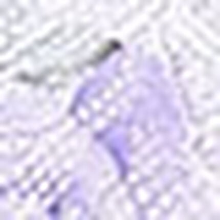 ３／４カップブラ, , swatch