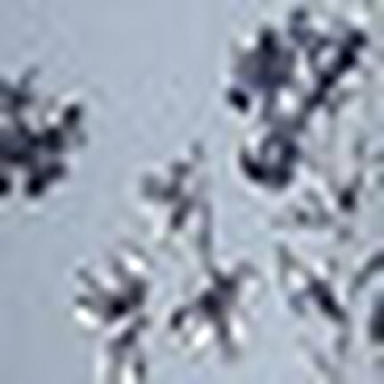 アウター　トップス, , swatch