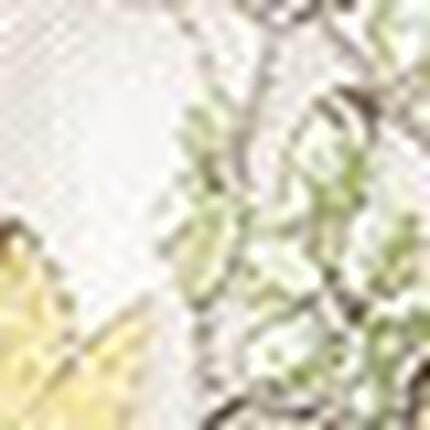 ガーターベルト, , swatch