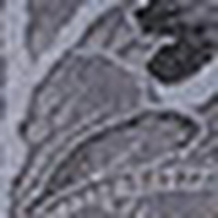 ノンワイヤーブラ, , swatch