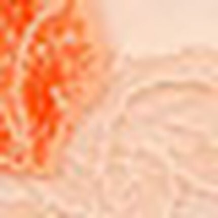 ショーツ, , swatch