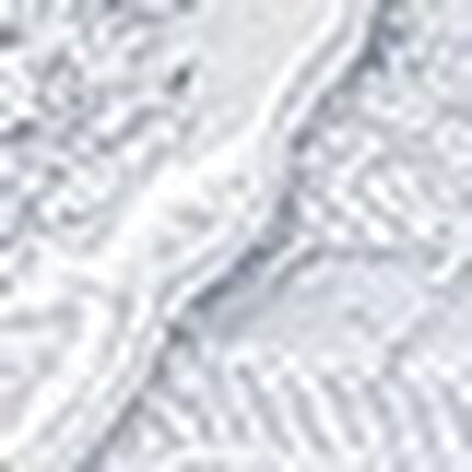 Ｔバックショーツ, , swatch