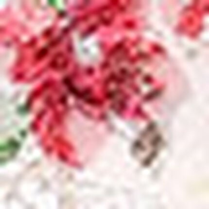 Ｔバックショーツ, , swatch