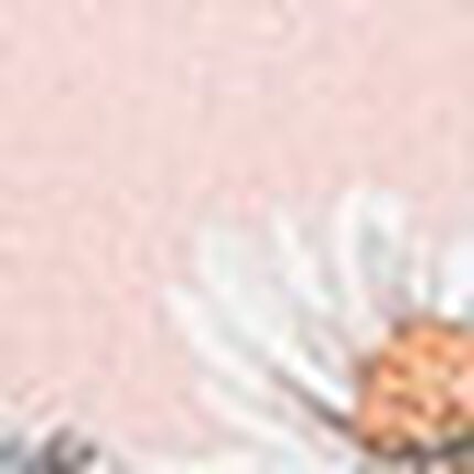 ショーツ, , swatch