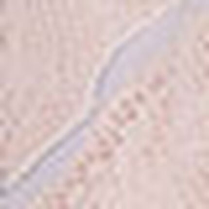 ブラジャー, , swatch