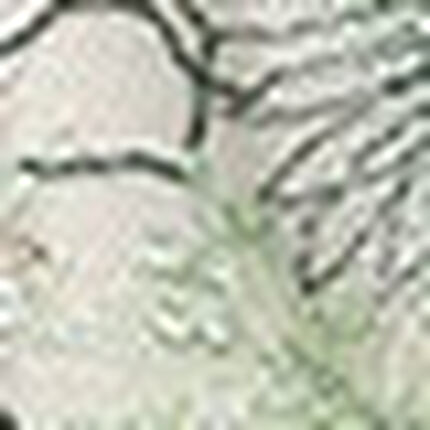 ショーツ, , swatch