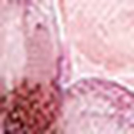 マタニティノンワイヤーブラ（産前・産後）, , swatch