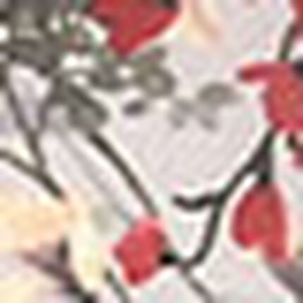 ボーイレングスショーツ, , swatch