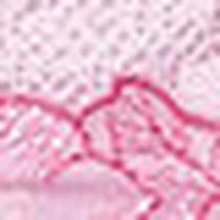 Ｔバックショーツ, , swatch