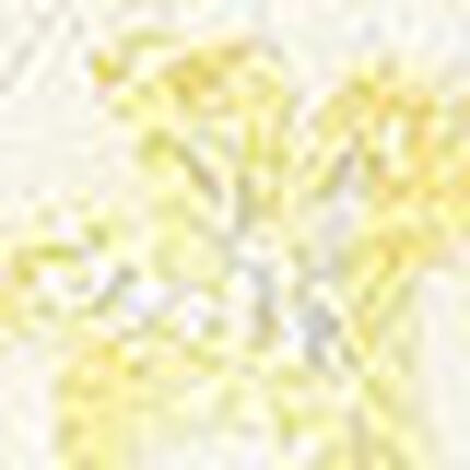 ショーツ, , swatch