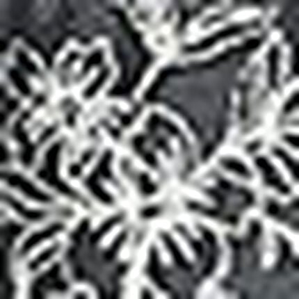 サニタリーショーツ, , swatch