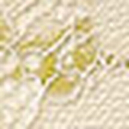 ショーツ, , swatch