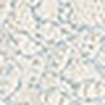 ショーツ, , swatch