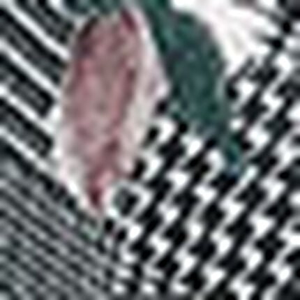 ４／５カップブラ, , swatch