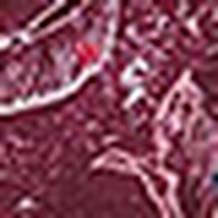 ショーツ, , swatch