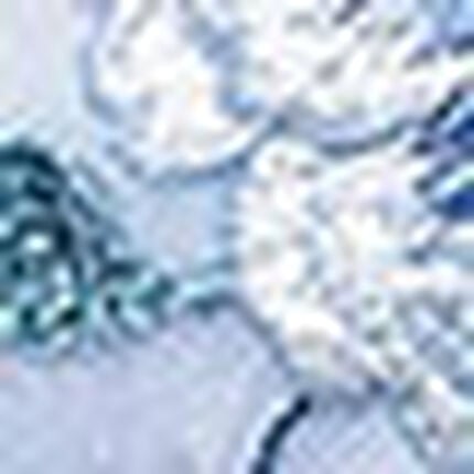 ショーツ, , swatch