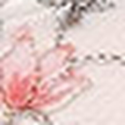 レディスショーツ, , swatch